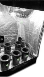 SuperCloset 5x5 Grow Tent Kit